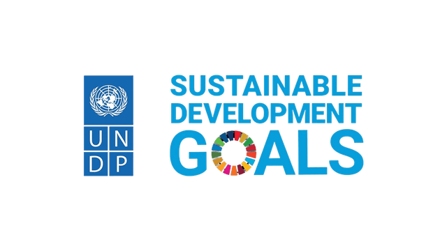 UNDP Logo